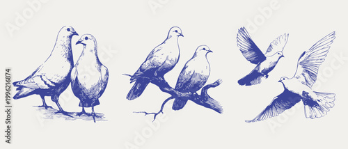 Romantic dove pairs and flying birds sketch set. Illustrations for wedding invitations and love themed decor, in crayon drawn pencil style with soft textured lines and fine shading strokes.