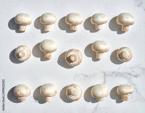 Fresh white button mushrooms neatly arranged in rows on a clean light marble surface from above, with clear natural shadows, ideal for healthy culinary inspiration and projects