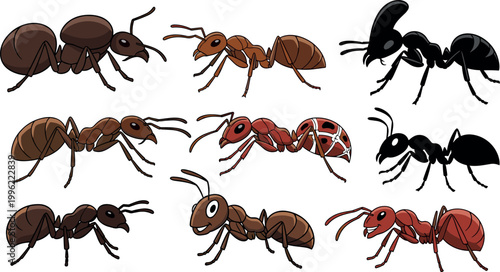 Cartoon ants collection with different poses and styles including realistic and stylized insects isolated on light background vector illustration set
