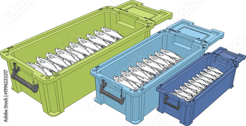 Storage Box with Fish for Transport and Preservation Vector Illustration Featuring Different Sizes and Organization Concept