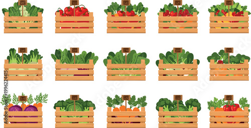 Fresh Vegetable Crate Set with Wooden Boxes, Organic Produce, Market Display, and Farm Harvest Elements for Grocery, Food, and Vector Illustration Design
