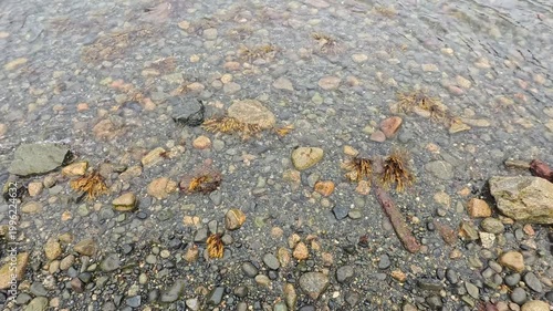 Haines - Alaska - USA - April 21, 2024 - Close up of a stream bed in Haines featuring small rocks and pebbles in a shallow water environment. The ground is covered with various size stones.