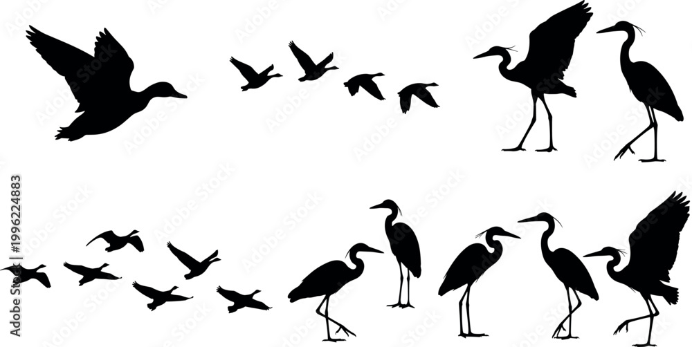 Fototapeta premium Heron and Flying Bird Silhouette Set with Water Birds, Flock Elements, and Wildlife Shapes for Nature, Logo, and Vector Illustration Design
