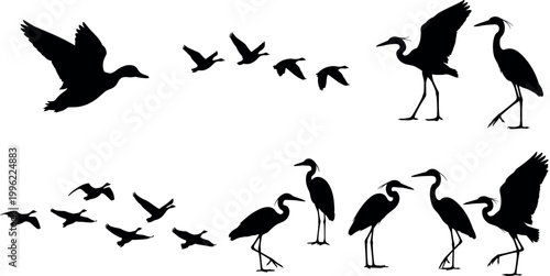 Heron and Flying Bird Silhouette Set with Water Birds, Flock Elements, and Wildlife Shapes for Nature, Logo, and Vector Illustration Design