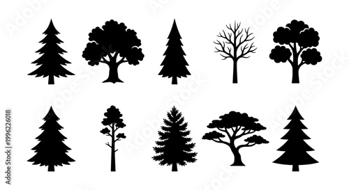 Black tree silhouettes collection, set of 10 forest and park tree icons, minimalist pine and deciduous tree vector shapes for landscape design