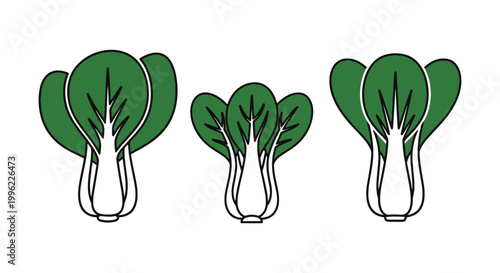 Pak Choi Leaf Line art vector minimal creative abstract