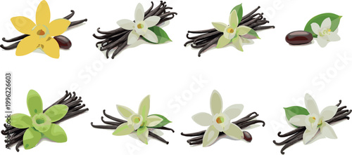 Vanilla Flower and Bean Pod Set with Botanical Elements for Natural Flavoring, Organic Ingredients, and Culinary Illustration Design