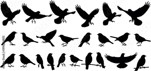 Bird silhouettes vector illustration set with flying and perched birds in different poses isolated on white background