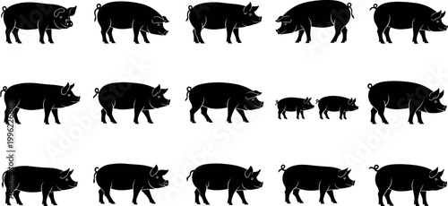 Pig silhouette collection vector illustration with different farm animal poses isolated on white background for agriculture design