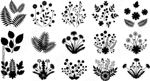 Botanical silhouette collection vector illustration with wildflowers leaves and plants isolated on white background for decorative design