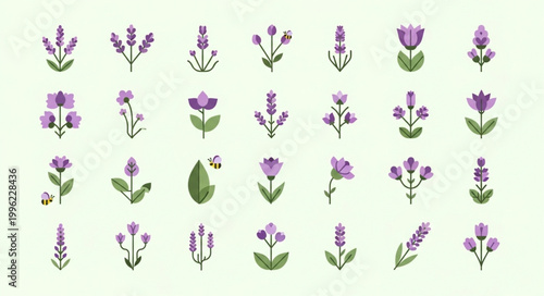 Collection of stylized lavender and floral illustrations.