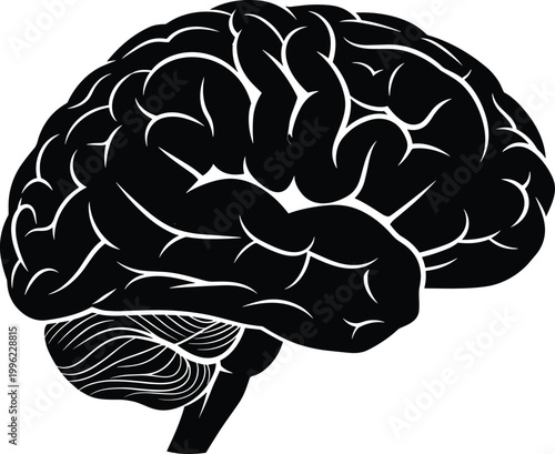 Detailed human brain side view illustration, line art anatomy design, cerebral cortex structure symbol representing science, psychology, neurology, intelligence, medical education