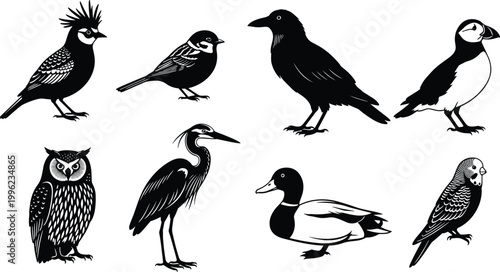 Hand-Drawn Bird Silhouettes Collection Featuring Owls, Ducks, Puffins, and More for Nature and Wildlife Illustrations