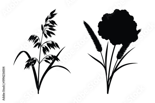 Black and white vector illustration of wild grasses and reeds with silhouette