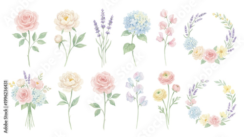 Soft watercolor floral set, delicate botanical elements in pastel style. Collection of Vector illustrations for invitation, card, poster, banner, decoration
