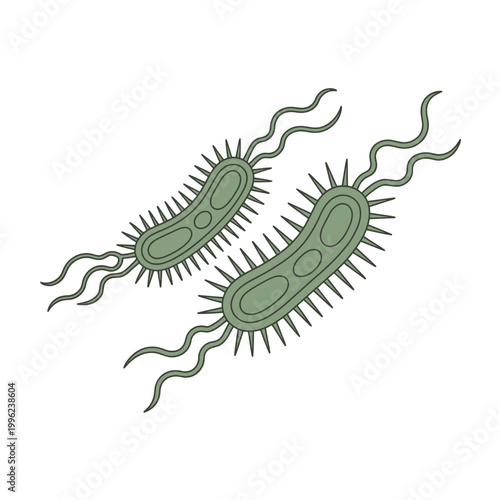 Bacteria icon illustrations showing two green bacterial cells with flagella and pili