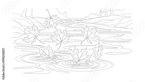 Leaves floating on a serene pond.
