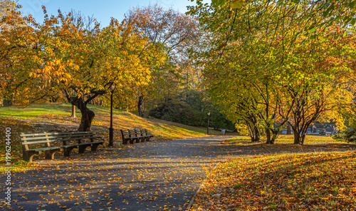 фотографія Autumn in Central Park, Early morning