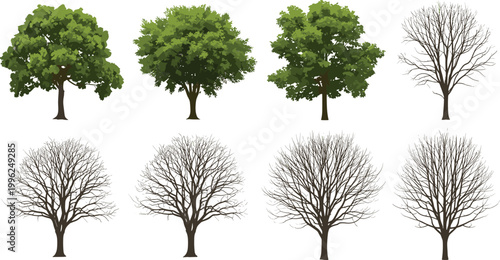 Leafy and bare tree vector collection green and leafless trees set isolated on white background
