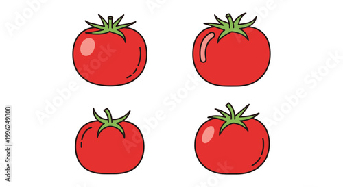 Tomato Whole Plate Line art abstract color shapes vector