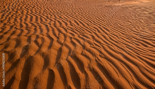 sand pattern texture for background brown desert pattern from tropical beach