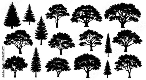 Collection of Black Silhouette Trees, Various Species, Isolated on White Background