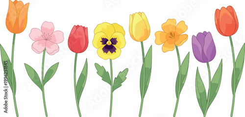 Colorful Spring Flower Set with Tulips, Blossom, Pansy and Floral Botanical Elements Hand Drawn Vector Illustration Collection for Nature Design