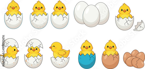 Cute chick hatching from egg vector set with broken shells stages and baby chicken cartoon illustration collection isolated design