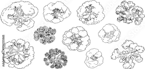 Hand drawn architectural landscape plan of trees and bush's top view silhouette collection vector illustration.