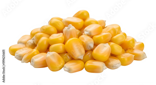 Fresh yellow corn kernels in a pile isolated on transparent background