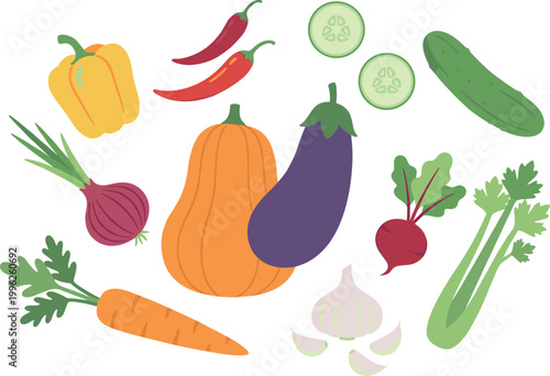Fresh Organic Vegetables Vector Set with Pumpkin, Eggplant, Carrot, Onion, Garlic, Cucumber, Chili, Beetroot, Herbs, and Healthy Food Illustration