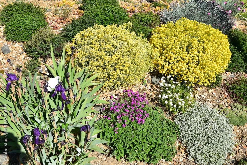 Obraz premium Jardin de rocaille&nbsp;au&nbsp;printemps