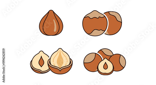 Roasted Hazelnut Line art minimal simple shapes vector