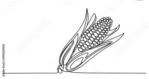 Single line drawing of a corn cob with leaves Vector, illustration