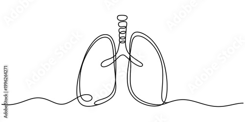 Single line drawing of human lungs with trachea, minimalist medical illustration Vector, illustration