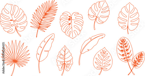 Orange Outline Tropical Leaves Collection monstera leaf 1