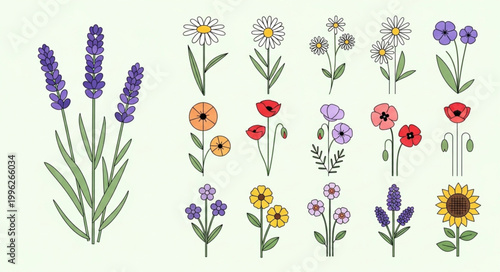 Collection of Various Botanical Flower Illustrations.