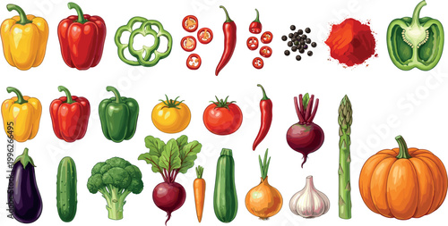 Cartoon vector illustration of assorted colorful vegetables and spices arranged in rows with diverse cooking ingredients