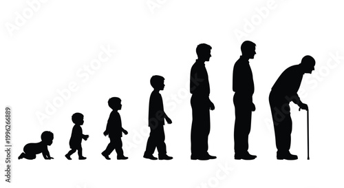 The stages of human life depicted as a black silhouette