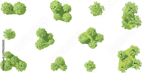 Top View Aerial Tree Canopy Collection Green Various Shapes Plan Architecture Vector Illustration