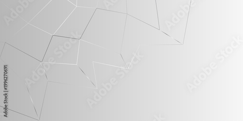 Chaotic abstract line background. Random geometric line seamless pattern. White texture abstract background with lines design, empty space, universe concept. Abstract network polygonal connect lines 
