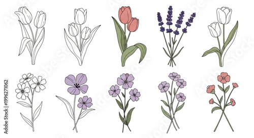 Collection of Hand Drawn Floral Illustrations and Sketches.