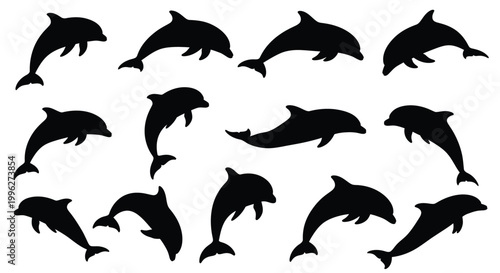 A collection of leaping dolphins in various poses a striking silhouette