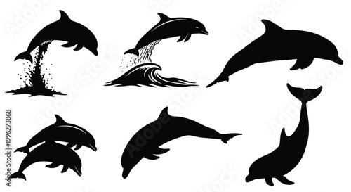 Several dolphins leaping and swimming depicted in a striking black silhouette