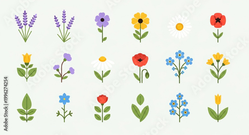 Collection of various colorful blooming flowers and plants.