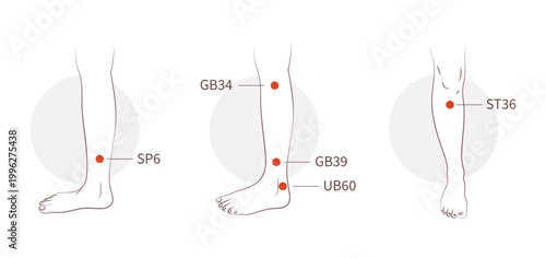 Leg and ankle acupressure points