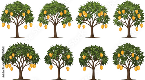 Mango trees collection with ripe yellow fruits, tropical orchard plants set with lush green foliage isolated on light background realistic vector illustration