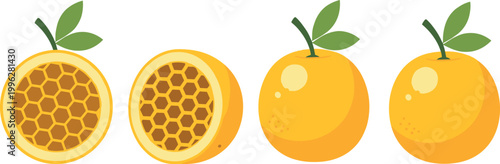 Orange Fruit and Honeycomb Vector Illustration Set Featuring Fresh Citrus Fruits with Leaves and Honey Texture Cross Sections in Flat Style for Food Design