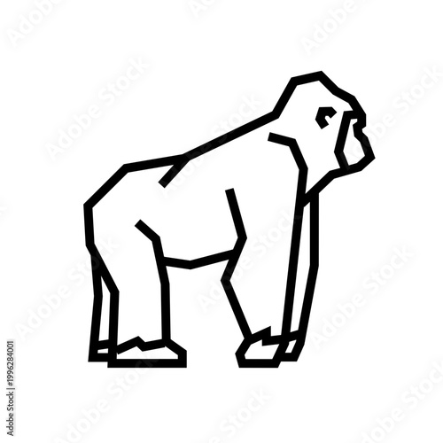 Gorilla