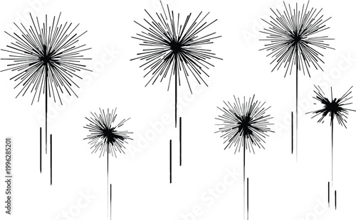 Abstract black and white botanical illustration of dandelion seed heads and delicate stems